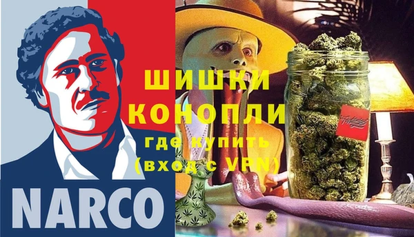 шишки Армянск