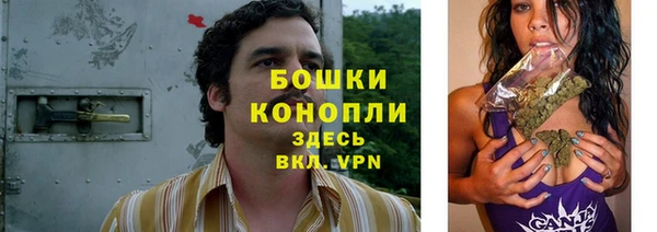 apvp Арсеньев
