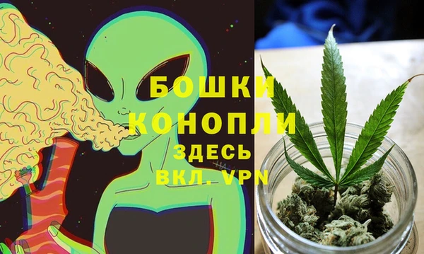 шишки Армянск