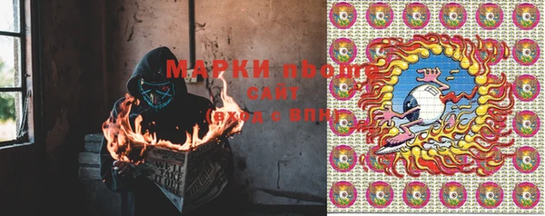 гидропоника Пересвет
