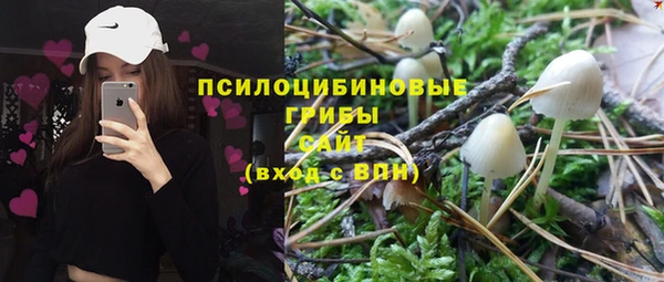 шишки Армянск